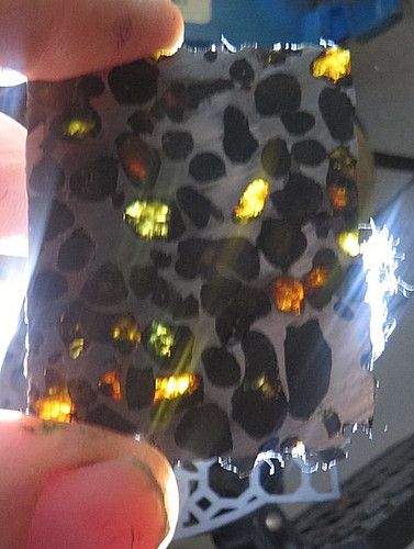 Gm sericho pallasite - 1-, 24